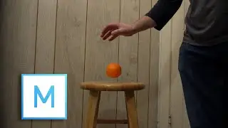 How to Reverse Video in Movie Studio Platinum 17