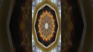 A Vital Force (Amadou) Reprise Loop By: Dan DiFranco
