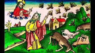 [FREE] Jakprogresso x Al Divino Type Beat "Locust Plague" | Underground 2022