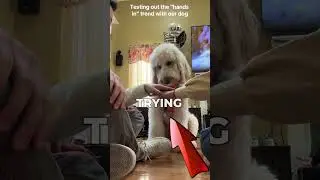 Cutest Puppy Trend 😍 
