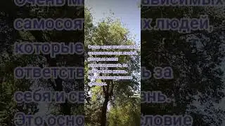 Свобода