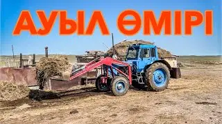 КӨКТЕМГІ ЖҮМЫСТАР | АУЫЛ ӨМІРІ | ЖИЗНЬ В ДЕРЕВНЕ #ауылөмірі #қазақстан #жылкылар #қой #айғыр #асау