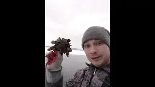Поисковый магнит#6 Сорвал ДЖЕКПОТ