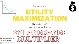 Utility Maximization by using Lagrange Multiplier Method | Utility Optimization