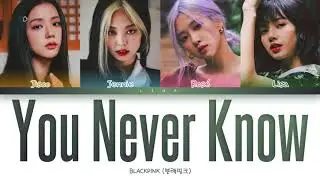 BLACKPINK (블랙핑크) - YOU NEVER KNOW (Color Coded Lyrics Eng/Rom/Han/가사)