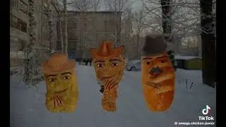 26 февраля 2024 г.
