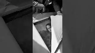 Saving the Mona Lisa: WWII's Secret Mission to Protect Art #shorts  #historyinpictures #trarcade