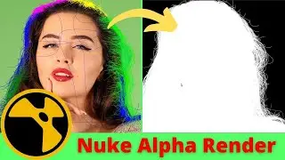 Nuke Shuffle Node Tutorial | How to Do Render In Aplha Nuke Class | 14 Hindi