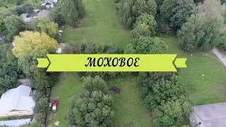 МИР МИТИНО