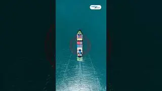 How Houthi know where the Ship is? #Shorts