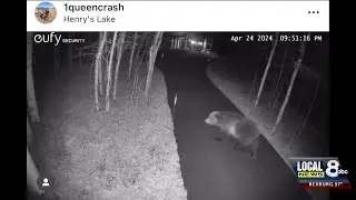 Be bear aware as bears emerge from dens