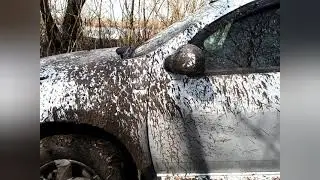 поехали
