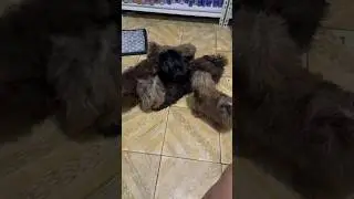 Laro Tayo!
