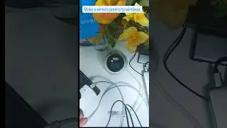 Make a wired ip 