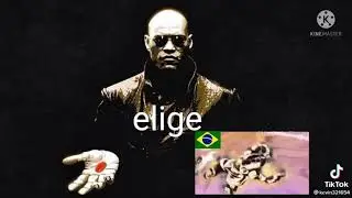 elige gran sabio