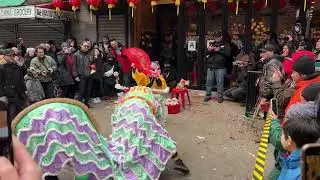 New york lion dance 2025