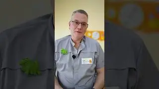 Вакцинация от клещевого энцефалита