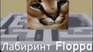 как найти Лабиринт Floppa