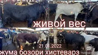 ЖИВОЙ ВЕС МОЛБОЗОРИ ХИСТЕВАРЗ 21.01.2022 МАРХАМАТ