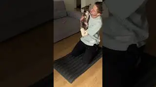 Чихуахуа и разминка