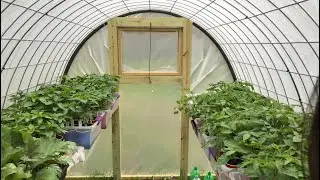 Greenhouse Build
