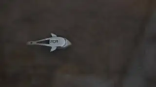 The Migration of Lego Sharks.