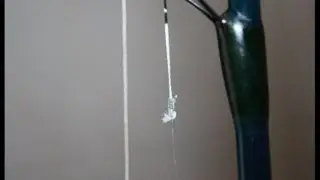 How To Tie A Spider Hitch Fishing Knot new updates for 2024