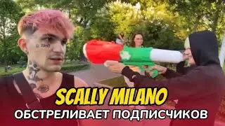 SCALLY MILANO МОЧИТ ФАНАТОВ | PINQ, DILBLIN, GRUSHHIKK, INSIDER, UGLYSTEPHAN