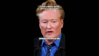 Conan O'Brien  Water buffalo encounter
