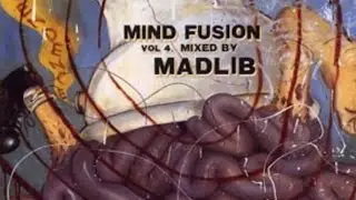 Unreleased Madlib Freestyle (Mind Fusion Vol 4)