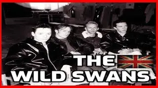 The Wild Swan - Bible Dreams