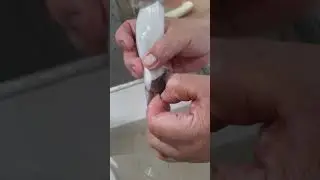 Como limpiar el calamar #calamar #limpiandocalamar #calamares