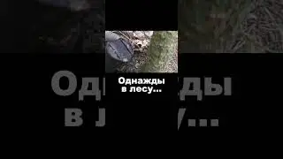 Однажды в лесу...  Манерка, вермахт.  #shorts #ww2geschichte  #находка #metaldetecting #коп  #лес