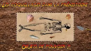 Les coquillages dans la Préhistoire 🐚 Objets de pouvoir ? [ST]