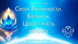 Сфера Разумности. Балансы. Целостность явления