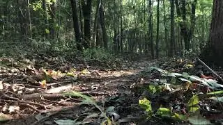 Kingfisher Trail Greensboro, NC