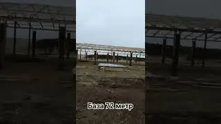 16 ноября 2023 г.