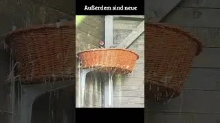 Nachwuchs im Vogel- und Tierpark Solingen