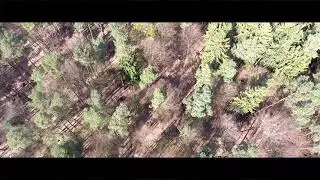 4k Cinematic Film #2 | photosniper