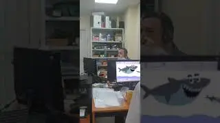 Акулёнок