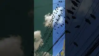 Before/After photo editing part-16 ||  #shorts #trending #viral #msgrapher