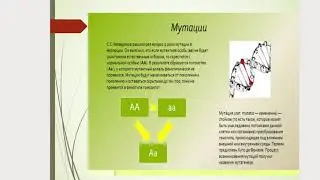 Лекция 16