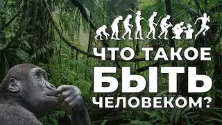 ЧТО ТАКОЕ БЫТЬ ЧЕЛОВЕКОМ? / ИСКУССТВЕННАЯ СРЕДА / МОДЕЛИ МИРОУСТРОЙСТВА
