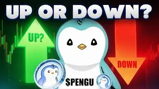 Pudgy Penguins What They Don't Tell You! [$Pengu by September 😱]
