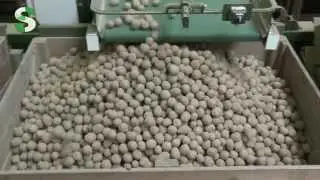 Schouten Sorting Equipment - Sorteerlijn van 't Zet 2014