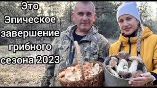 Грибное Эпос: Завершение Сезона 2023 во Всей Красе!