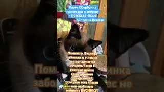 Помогите  спасти нашу малышку Бусинку! Начали лечение, не хватает денег. +7(916)066-0564 Сбербанк