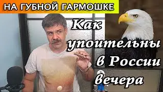 Как упоительны в России вечера на губной гармошке