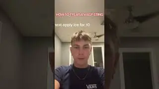 How to treat a Wasp Sting 