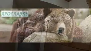 ЗОЛОТОЕ КОЛЬЦО РОССИИ!!! ЧАСТЬ 2    ЯРОСЛАВЛЬ.
